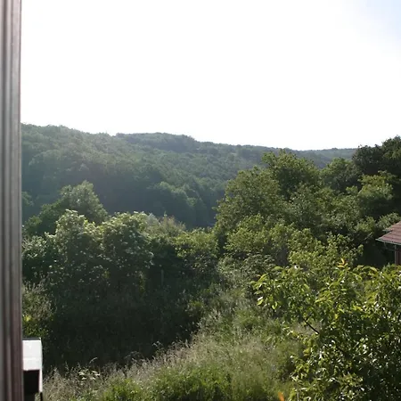 Rech Hof Eifel Urlaub Holiday home *