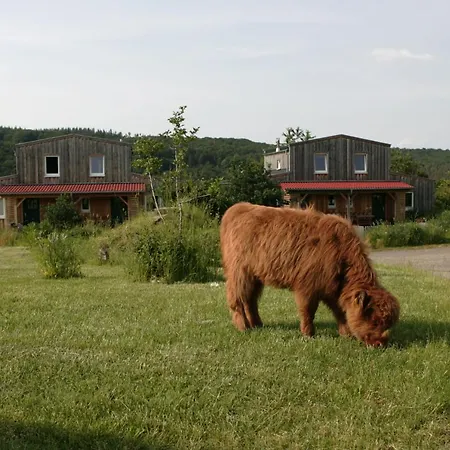 Rech Hof Eifel Urlaub Holiday home
